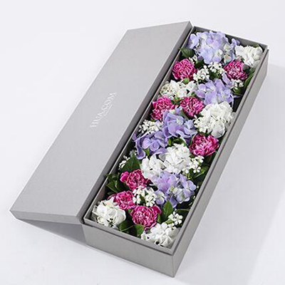 紫色白邊康乃馨8枝、白繡球1枝、藍(lán)紫色繡球1枝